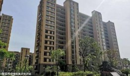 肥乡玉桂园最新爆料,揭秘神秘项目背后的惊人真相！