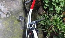 进口自行车爆料视频最新,最新爆料视频深度解析